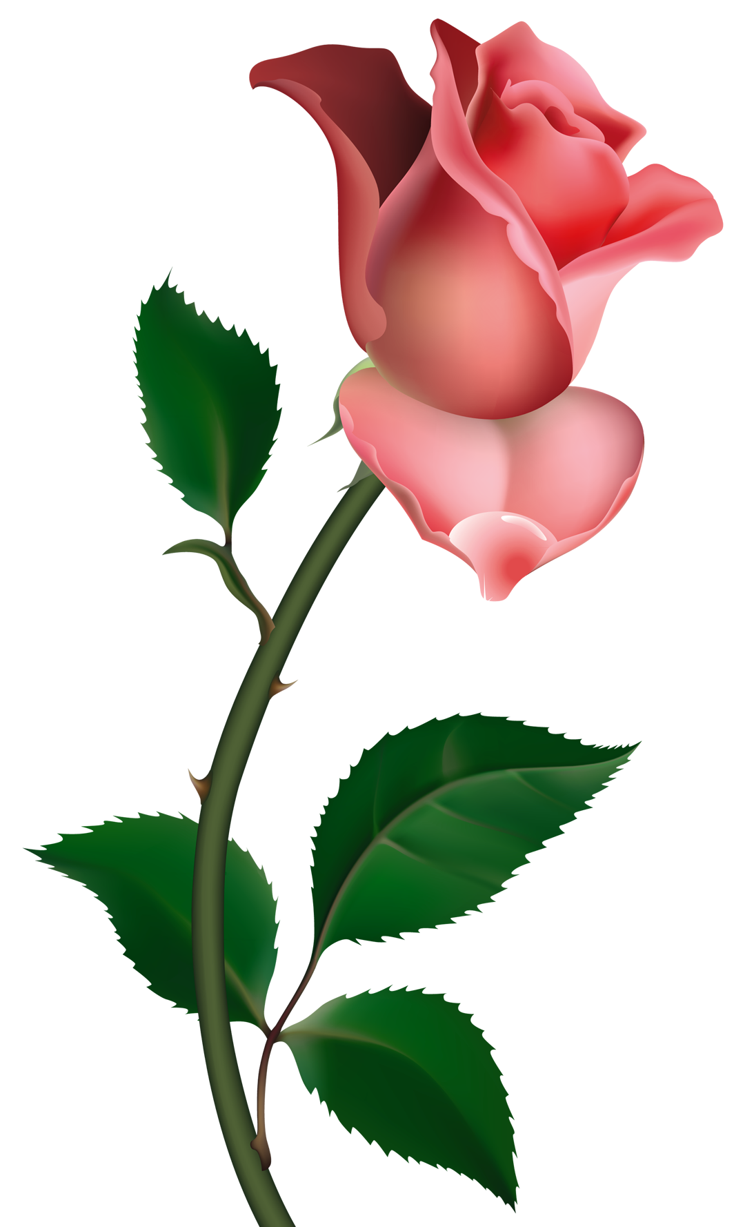 1080x1778 Clipart Roses