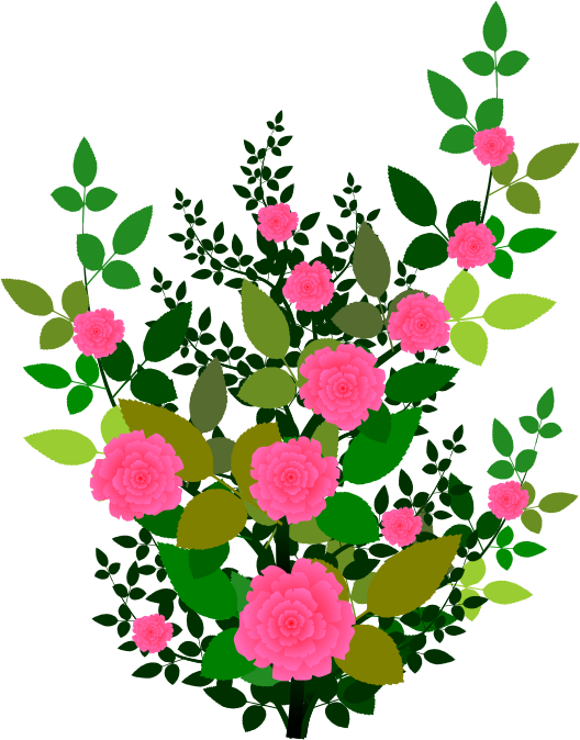 528x674 Clipart Rose Plant Clipartfest