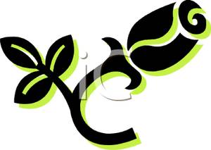 300x213 Picture Black And Green Silhouette Of A Rose