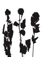 142x190 Rose From The Dead Clip Art, Vector Rose From The Dead