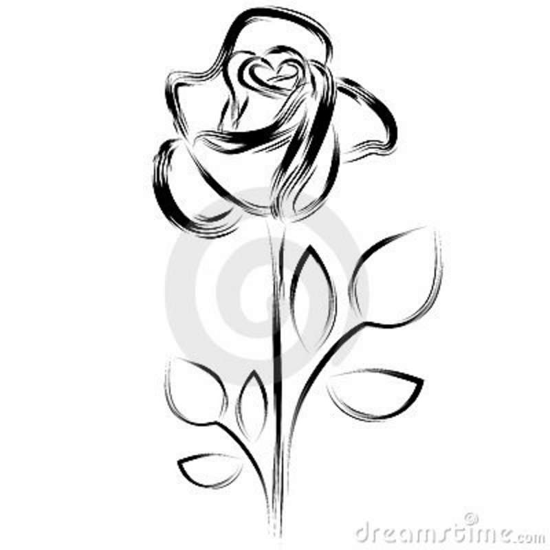 800x800 White Rose Clip Art Free Silhouette Of A Rose Royalty Free Stock