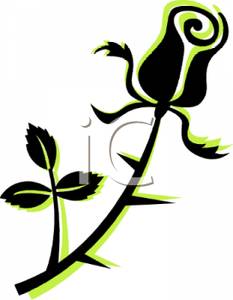 233x300 Art Image Black And Green Silhouette Of A Rose