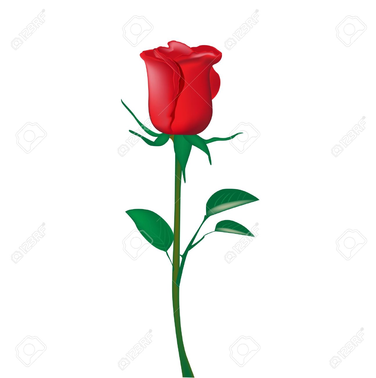 1294x1300 Petal Clipart Rose Stem