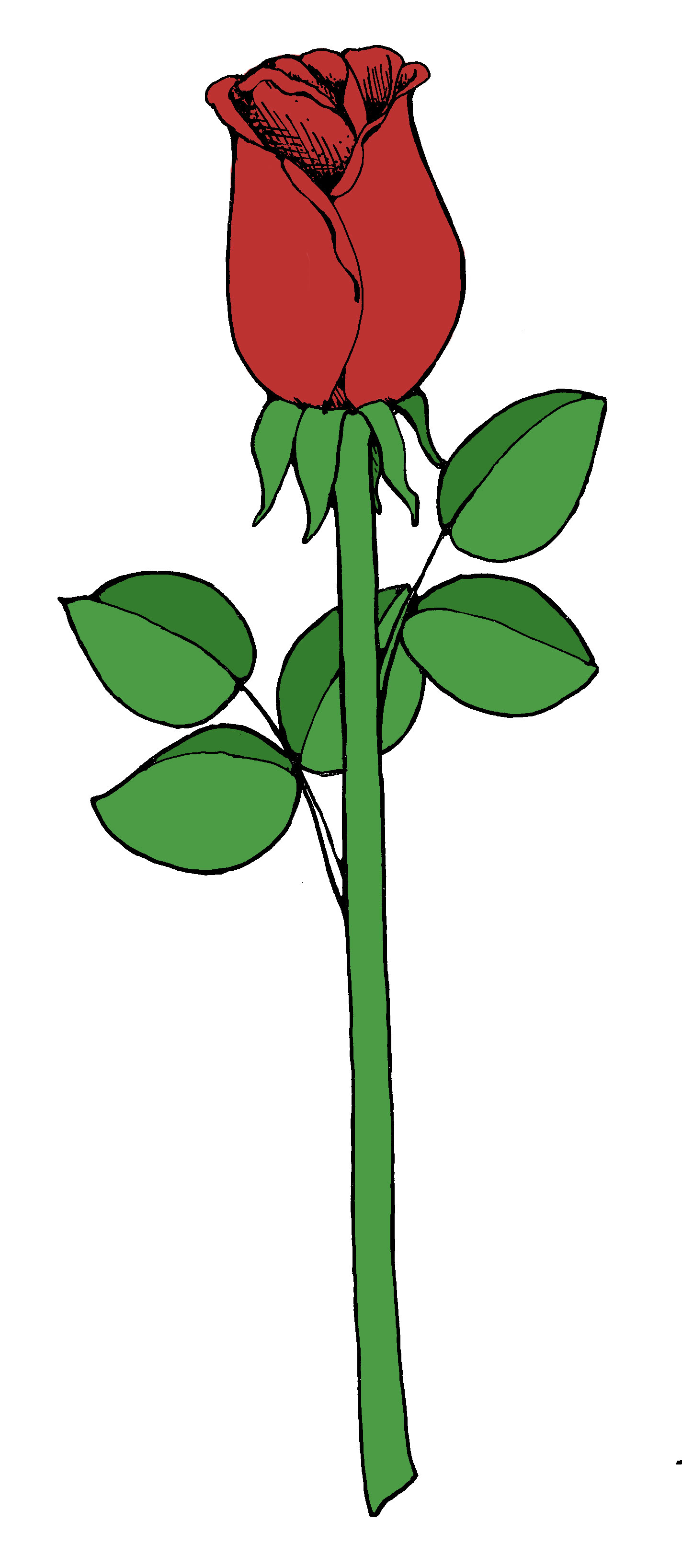 Rose Stem Clipart Free Download On Clipartmag