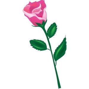 300x300 Rose Clipart Long Stem Rose