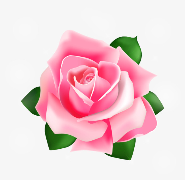 650x632 Rose Vector, Rose, Vector, Red Png And Vector For Free Download