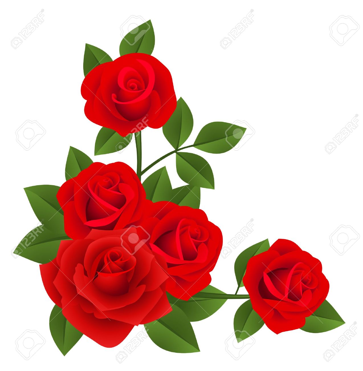 1274x1300 Rose Vectors