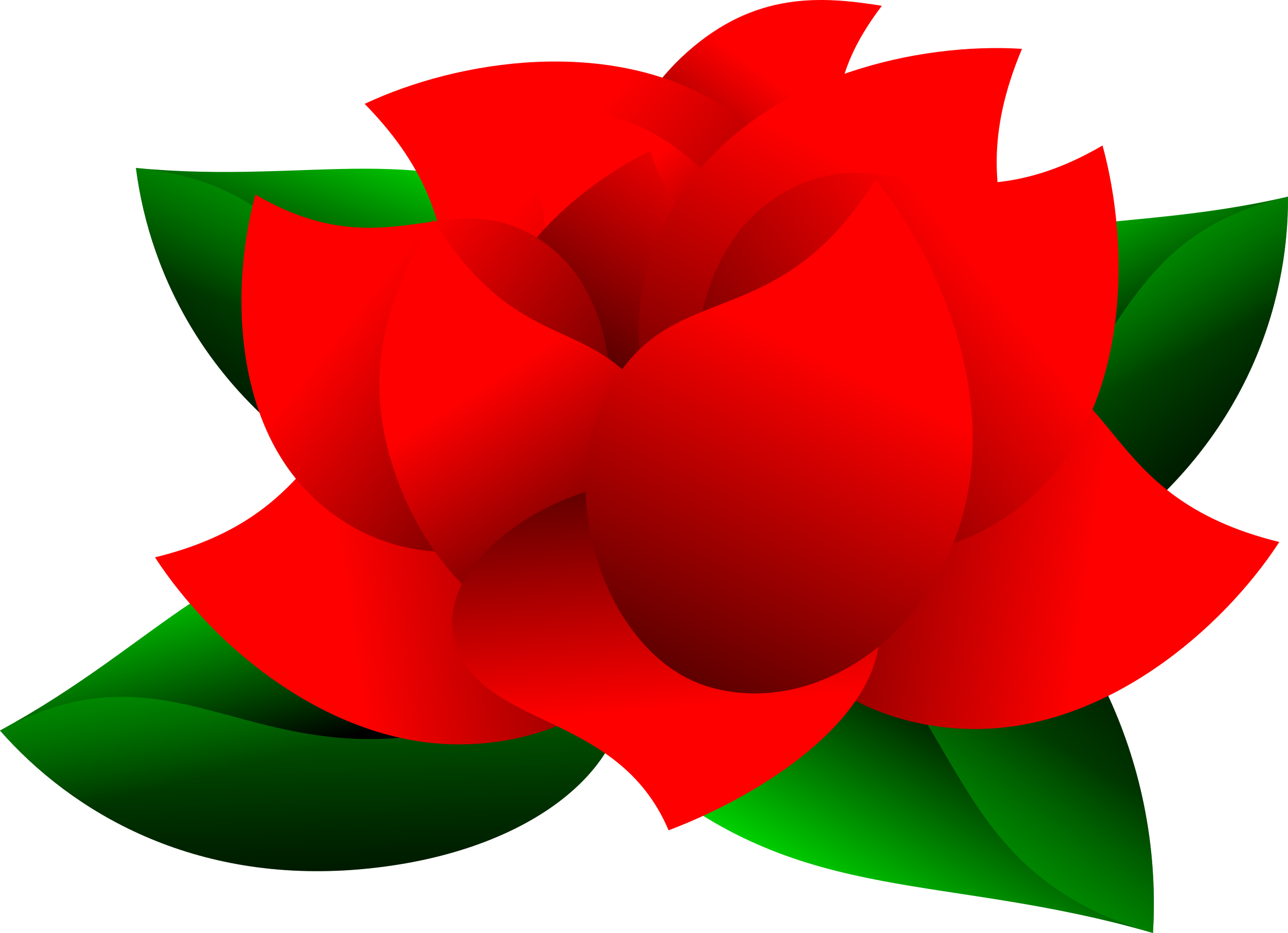 2400x1739 Free Stock Photo Of Insomniac Rose Vector Clipart