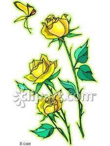 225x300 Three Leaved Vine Clipart