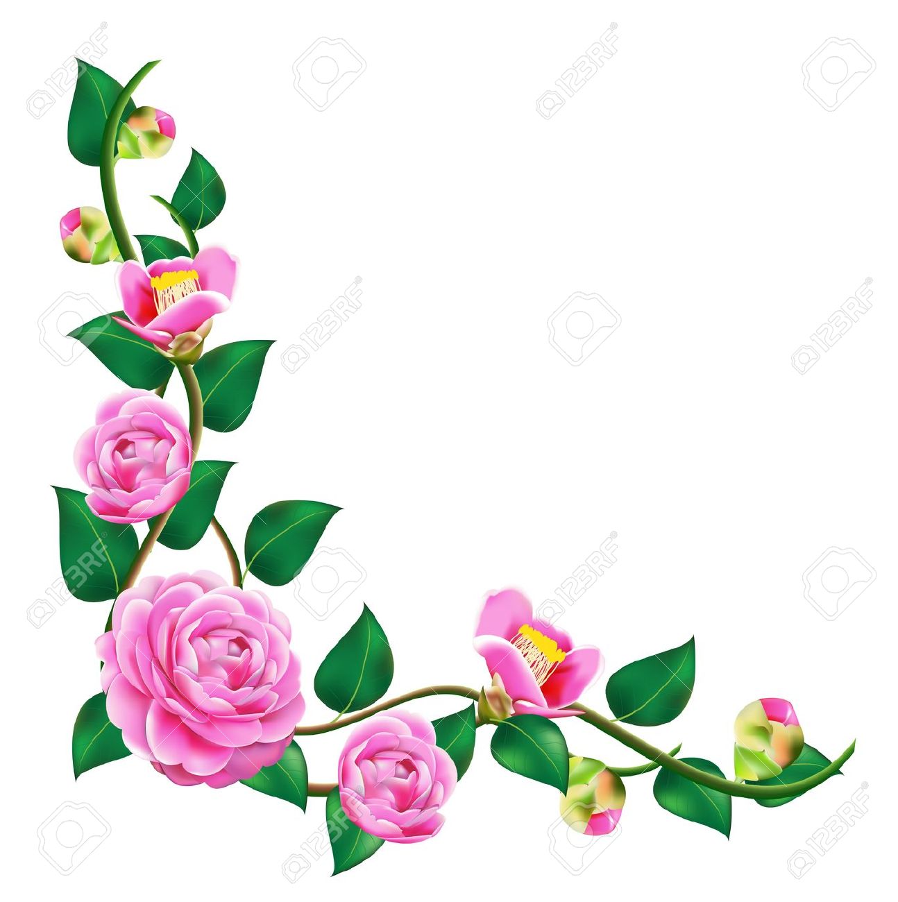 1294x1300 Vine Clipart Beautiful Flower