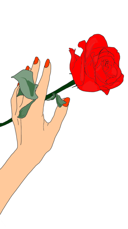 421x750 Free Single Rose Clipart