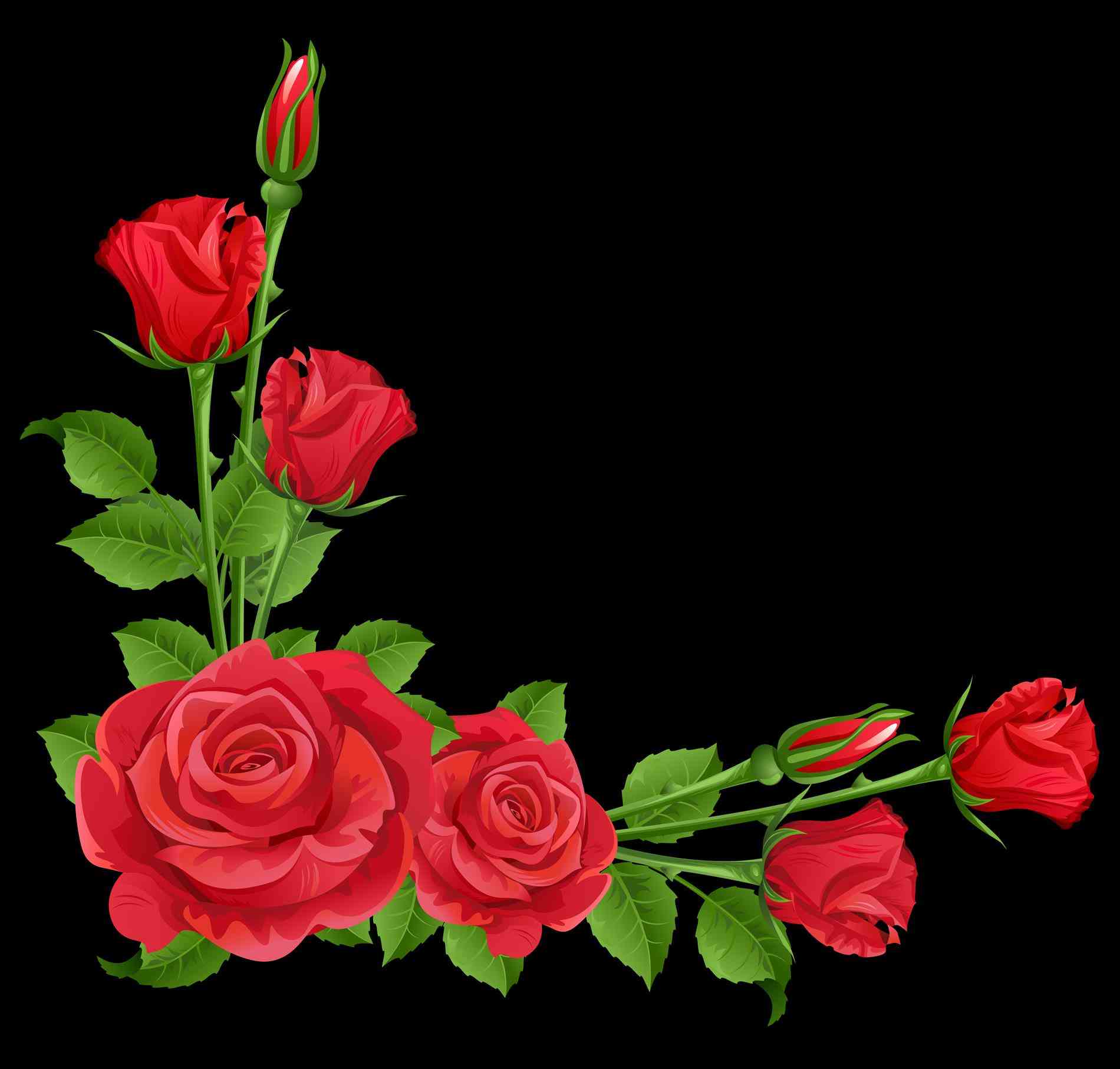1900x1814 Red Rose Vine Clip Art Freespywarefixescom