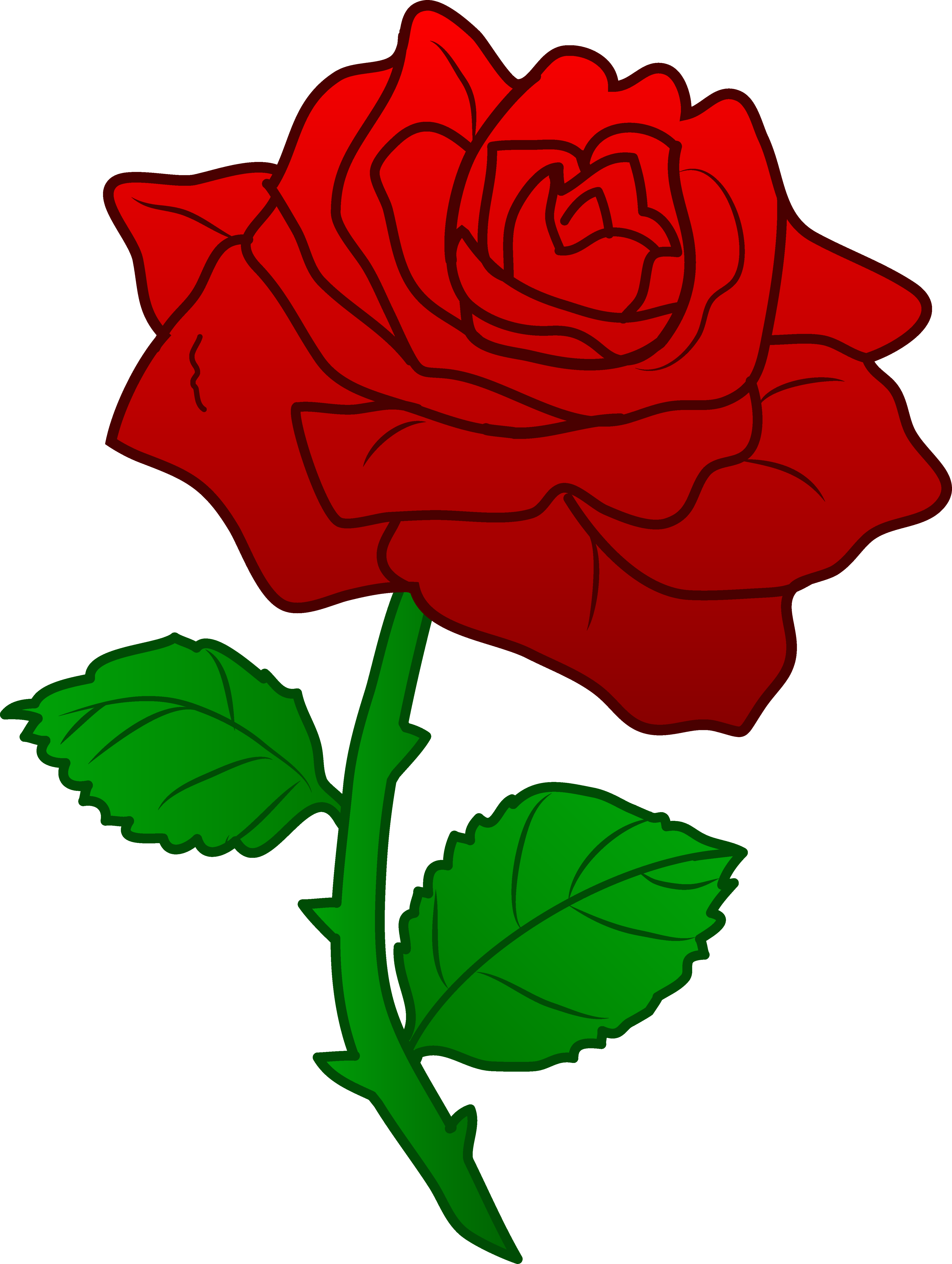 4257x5650 Red Rose Clipart Rosas