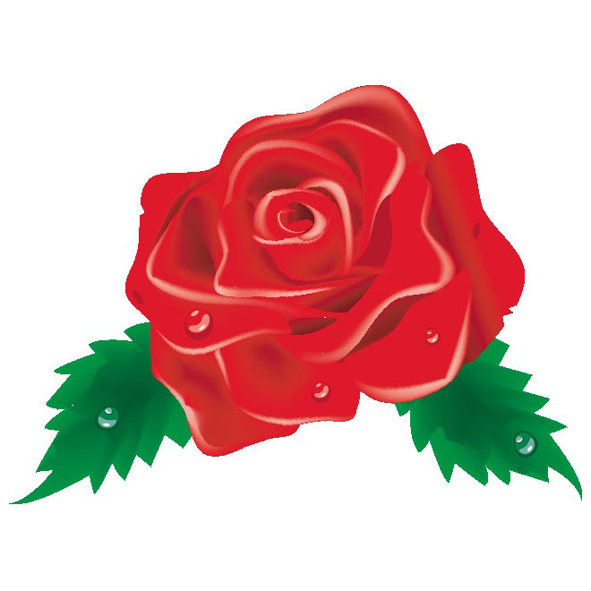 660x660 Rose Free To Use Clip Art