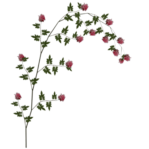 500x500 Rose Vine Clipart