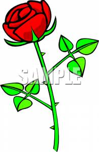 195x300 Red Rose With Thorns