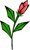 120x200 Rose Clipart. Free Graphics, Images And Pictures Of Rosebud, Vase
