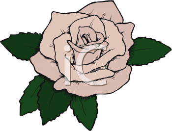 350x267 Royalty Free Rose Clip Art, Flower Clipart