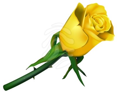 400x315 Yellow Rose Clip Art