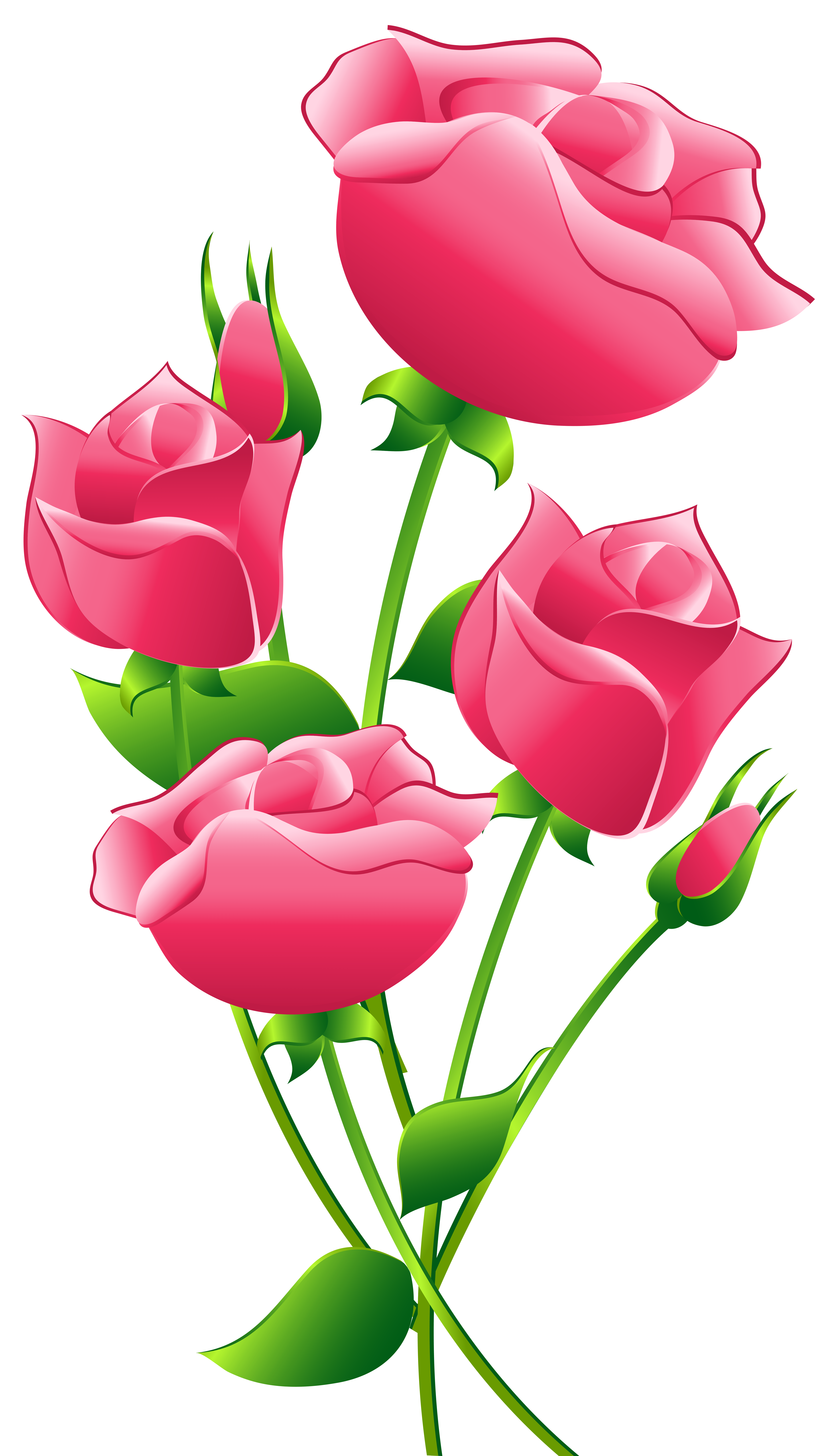 5434x9473 Pink Rose Clip Art