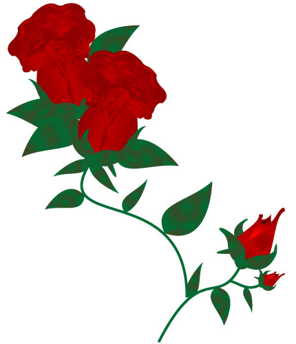 430x500 Red Rose Clip Art