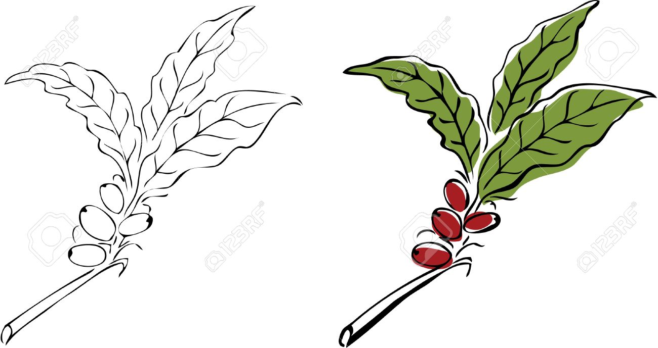 1300x689 Branch Clipart Drawn