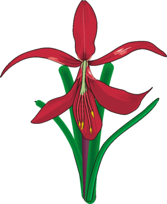 326x400 Flower Clip Art