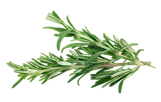 680x432 Plant Production Protection Division Diversity