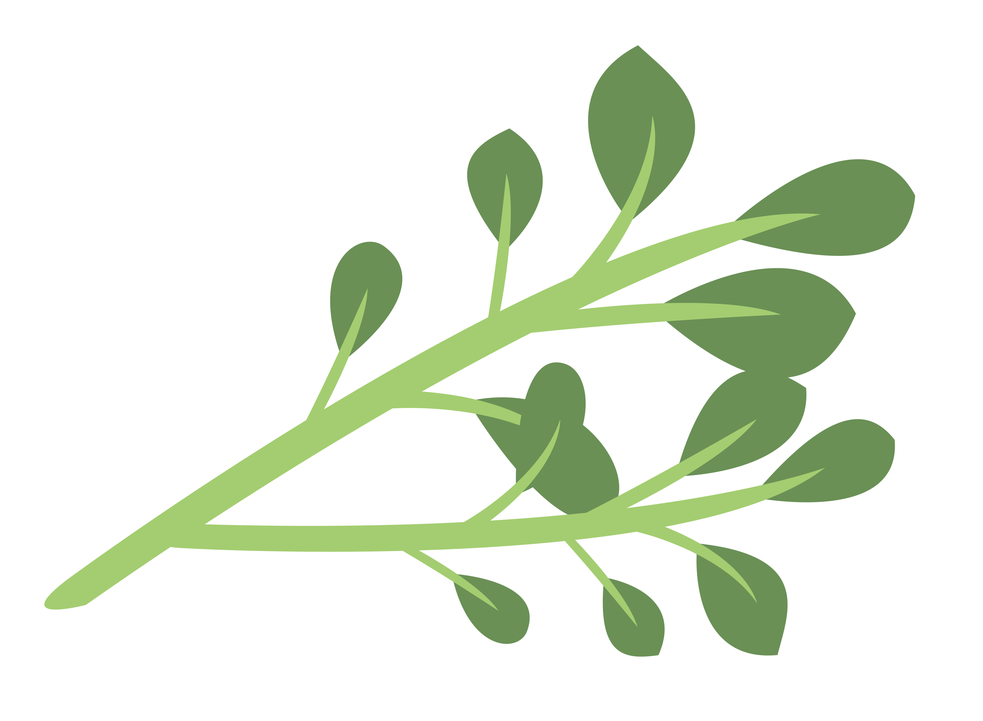 3316x2432 Real Thyme Clipart