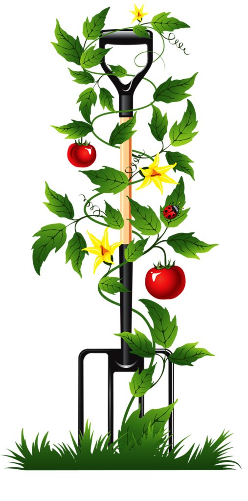 507x1024 85 Best Clip Art