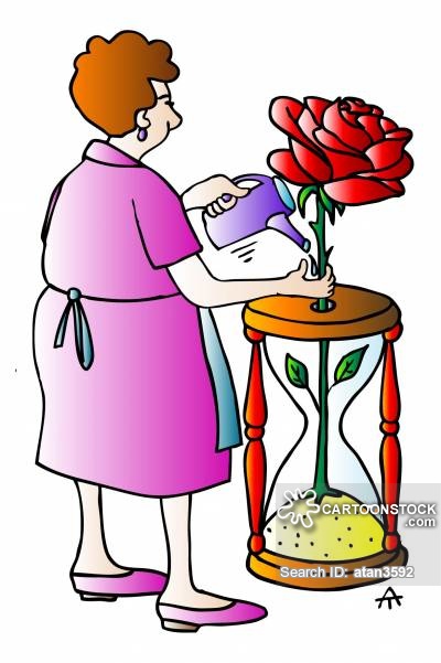 400x601 Stop And Smell The Roses Cartoons And Comics