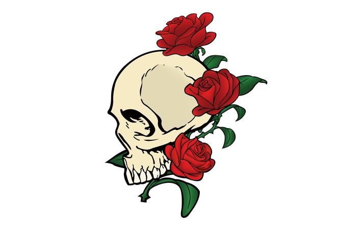 700x490 Vector Skull Ampamp Roses