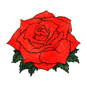 300x300 Cartoon Royalty Free Vectors