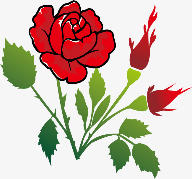 650x607 Roses With Thorns, Cartoon Illustration, Barbed, Beautiful Png