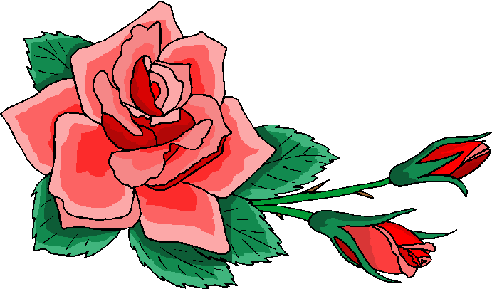 691x406 Roses Red Rose With Bud Transparent Clip Art Picture