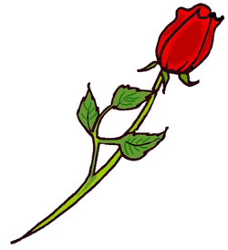 250x274 Single Rose Border Clipart