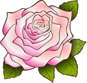 299x285 Top 78 Pink Rose Clipart