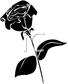 284x350 White Rose Clipart Silhouette