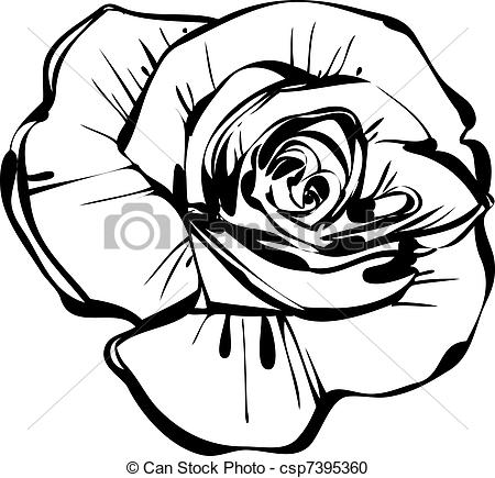 450x435 White Rose Clipart Sketch