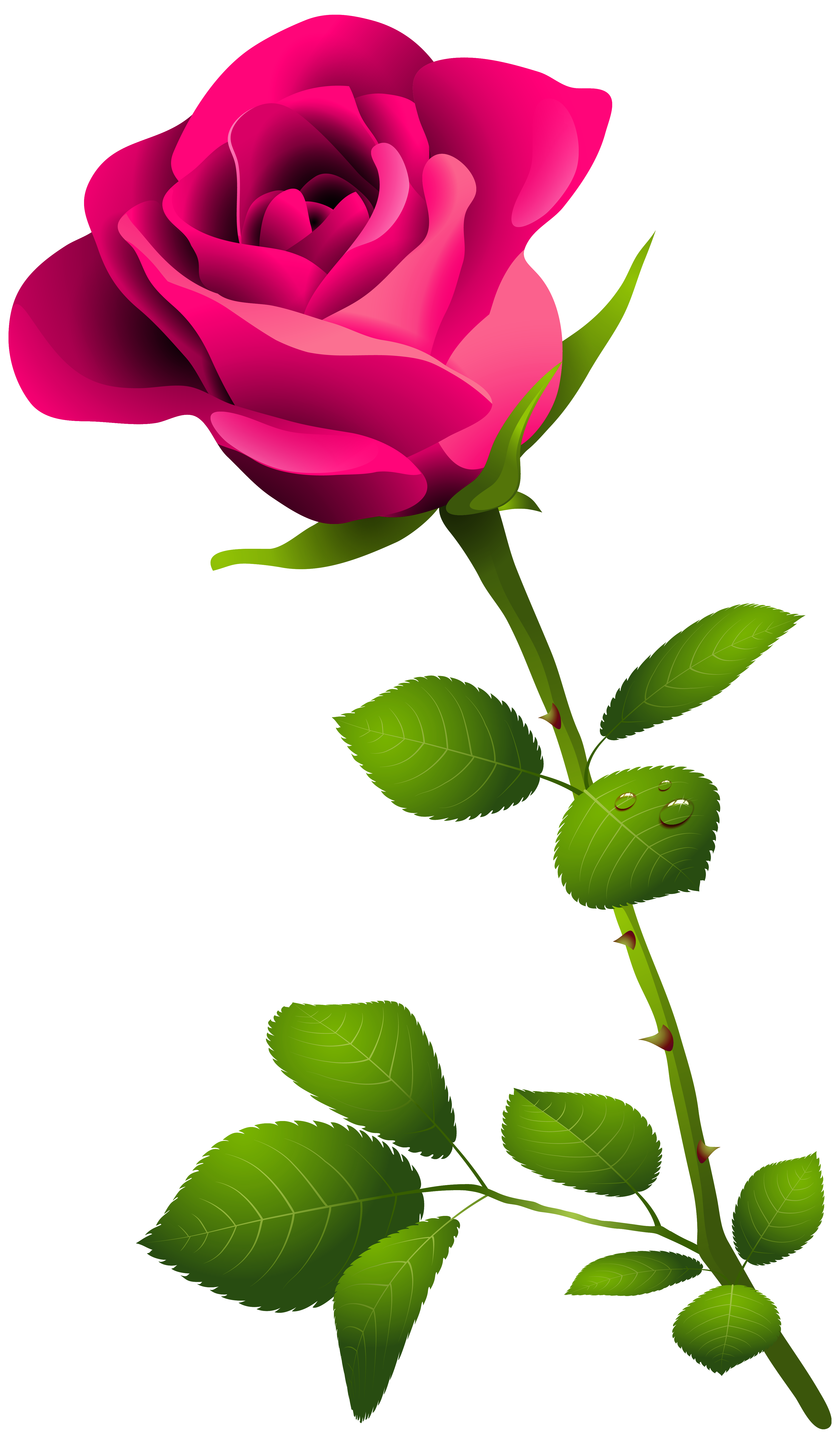 3658x6286 Top 81 Pink Rose Clip Art