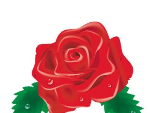 310x233 Red Rose Vector Clip Art Image Free Vectors Ui Download