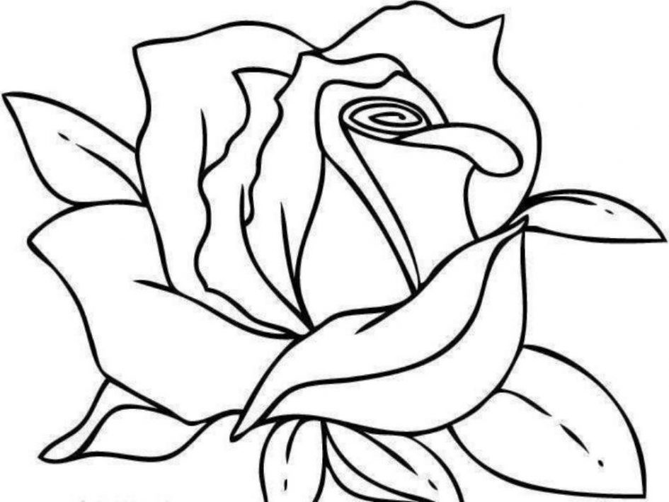 945x709 Download Coloring Pages Roses Coloring Pages Free Coloring Pages
