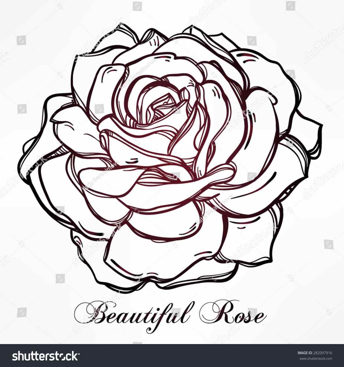 1185x1264 Floral Highly Detailed Hand Drawn Stock Vector Vintage Rose