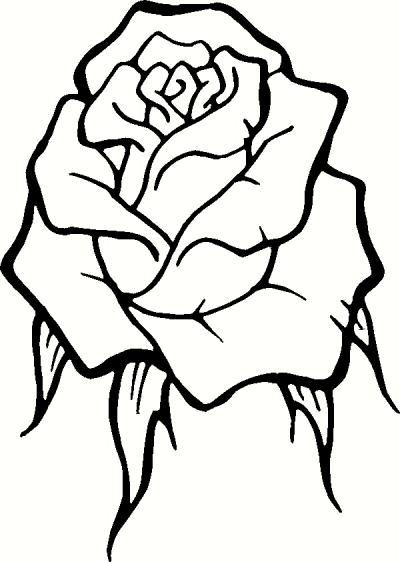 400x562 Rose Clipart Decal