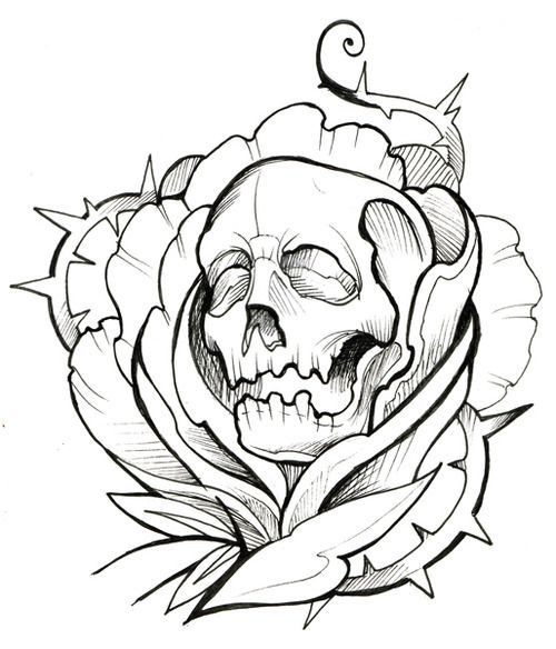 500x584 84 Best Skull Roses Images Prints, Beautiful