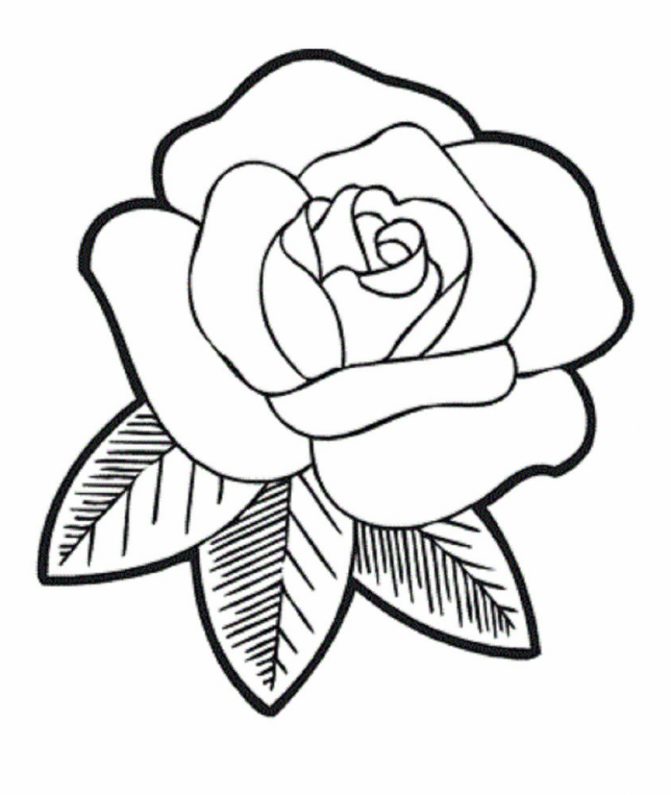 671x795 Coloring Pages Line Drawing Of A Rose Coloring Pages Line