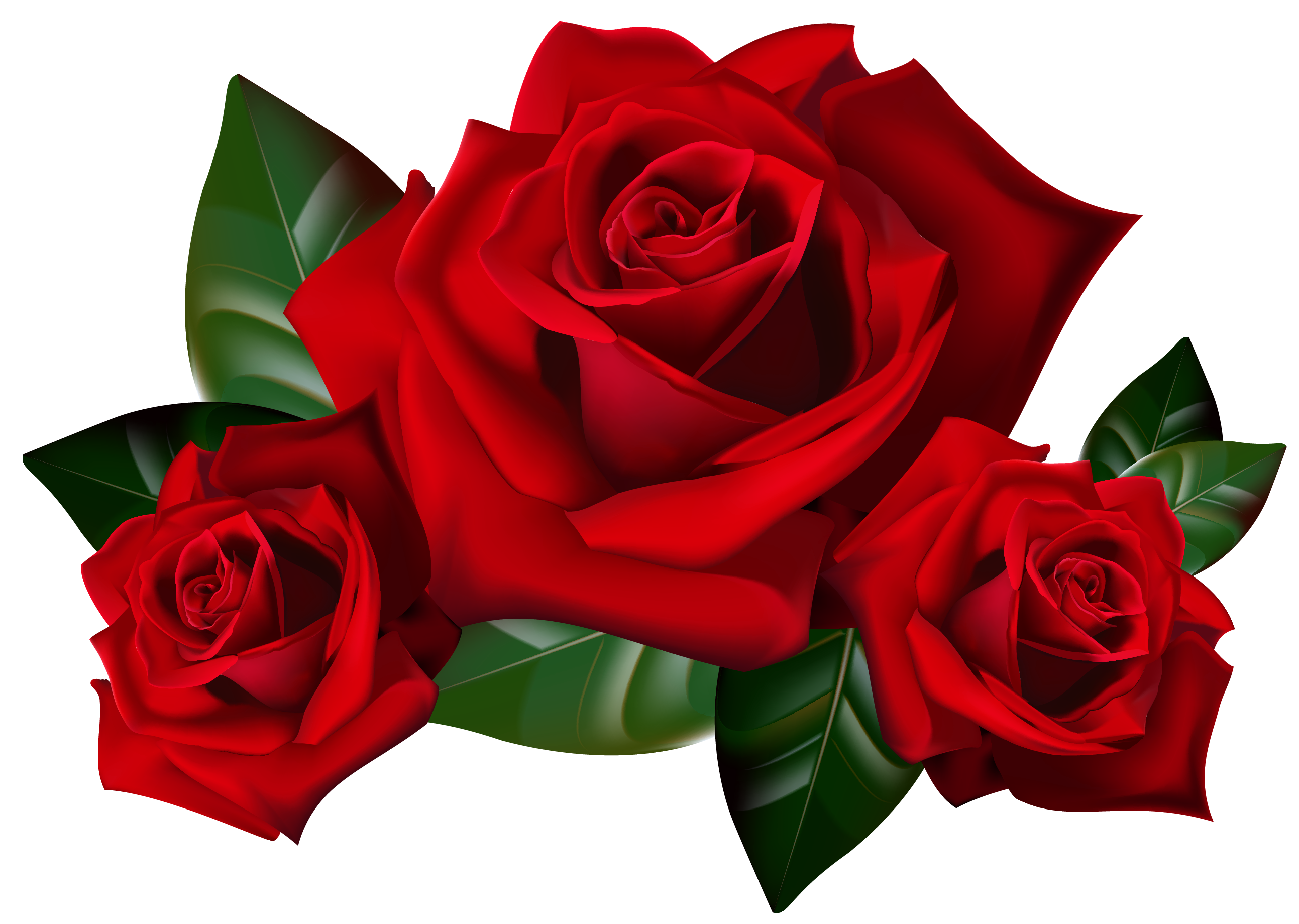 2586x1840 Red Rose Clipart