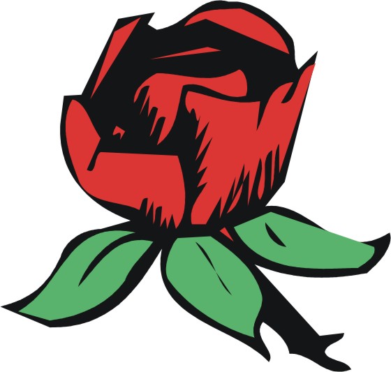 560x533 Rose Cartoon Images