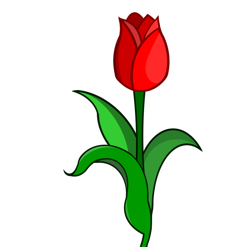 800x800 Tulpen Clip Art Cliparts