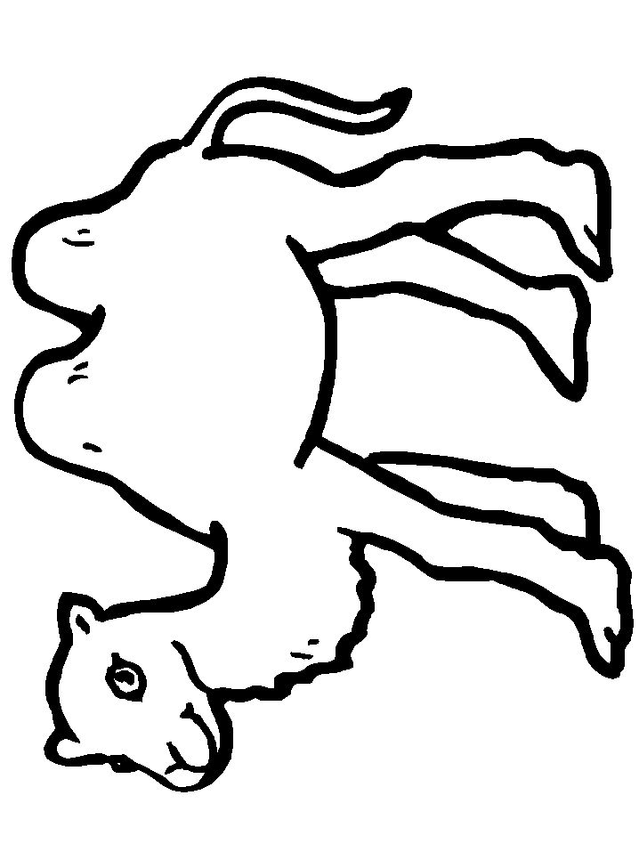 718x957 18 Best Camel Coloring Pages Images Vacation Bible
